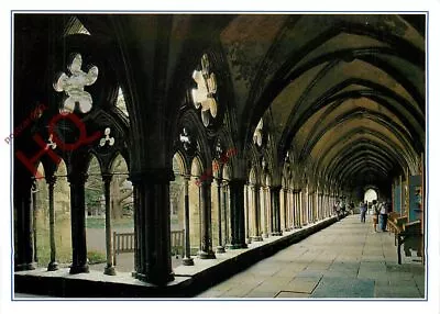 Picture Postcard> Salisbury Cathedral The Cloisters Walk • £2.09